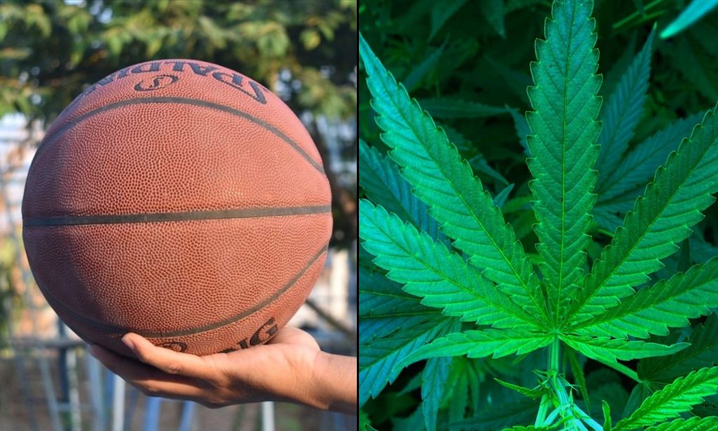 Al Harrington wants to help NBA see benefits of medical marijuana